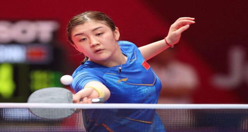 霍伊伦及其 霍伊伦及其