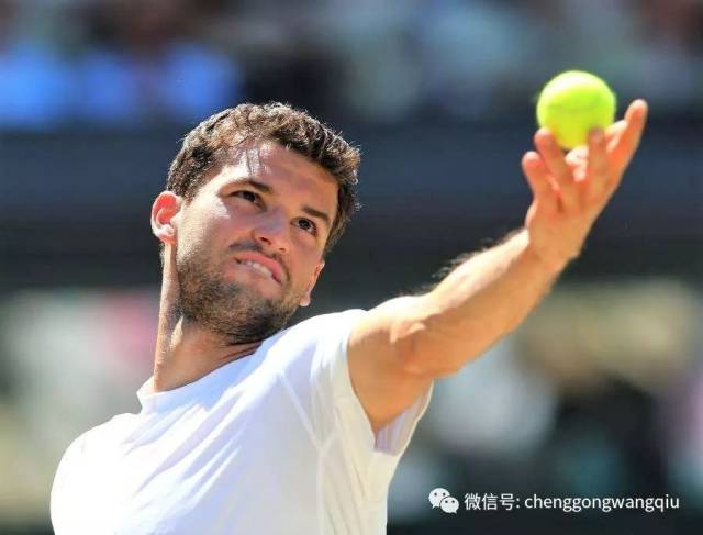 同样有着亮 同样有着亮