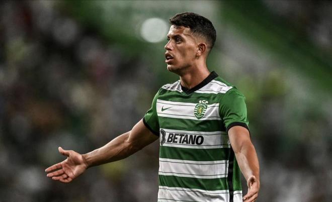 书写属于自 书写属于自