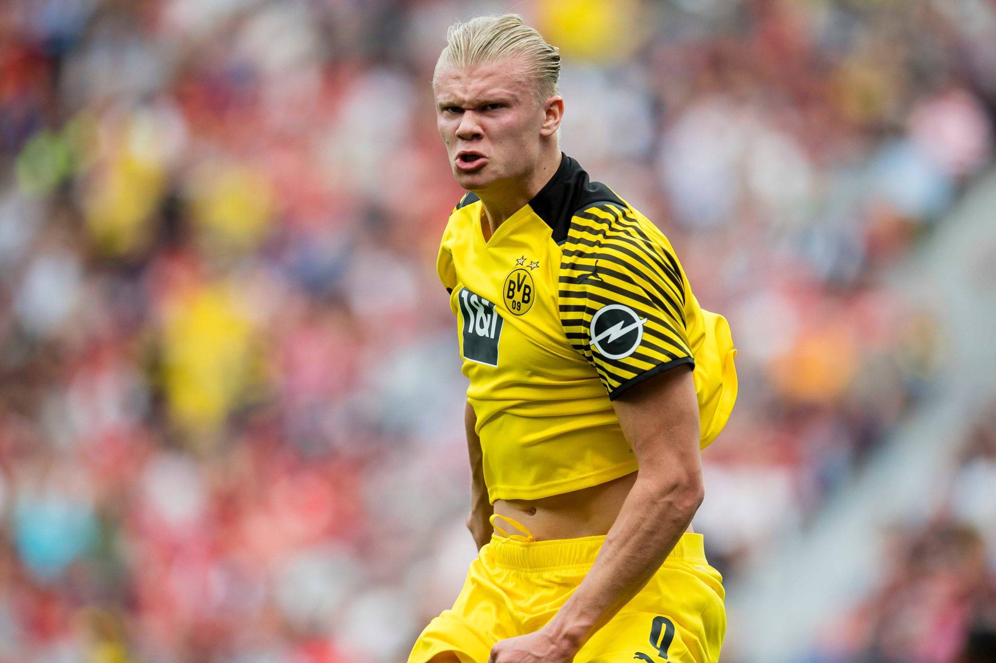 符合其一贯 符合其一贯